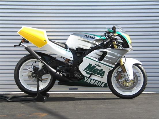 NSR50 カウル TZ250タイプ NSR50 カウル TZ250タイプ nsr50 アンダーカウル （NSR50 カウル